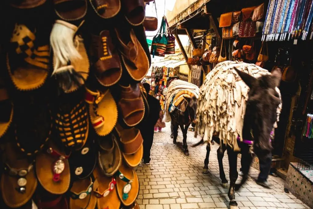 coisas a fazer em Fez medina