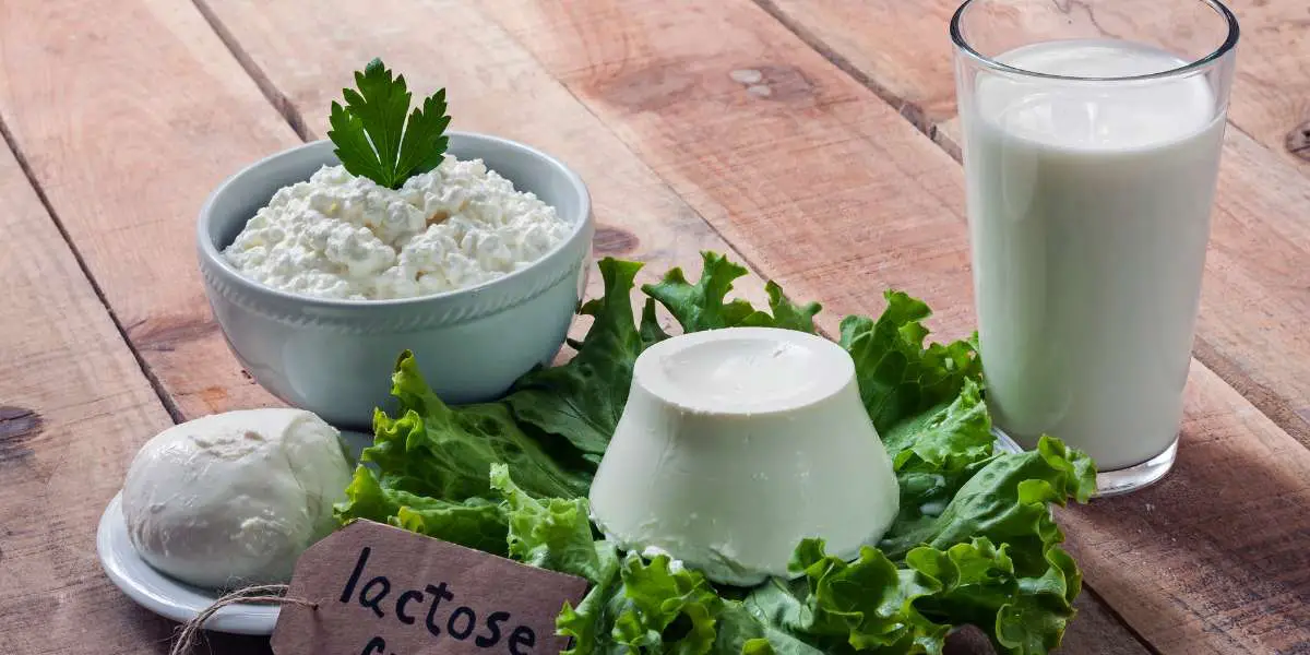 5 Alimentos que Intolerantes à Lactose Não Podem Consumir