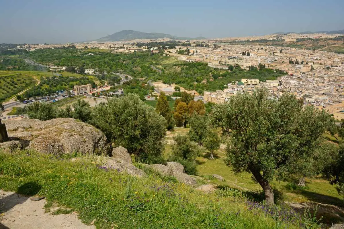 fez morocco things to do