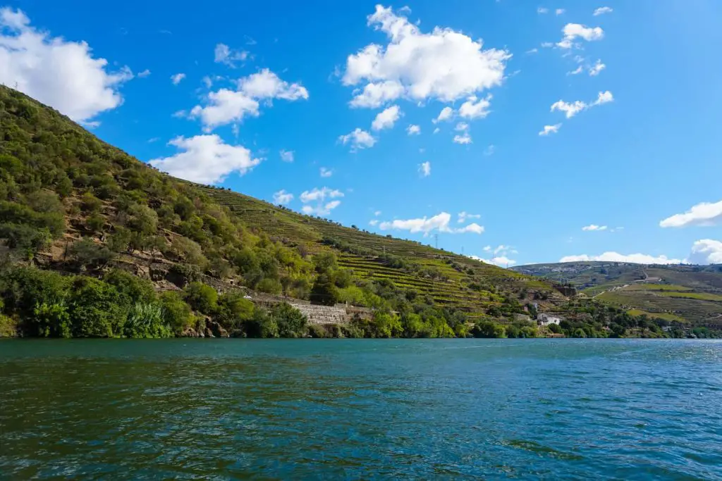 Best private boat cruise in Douro