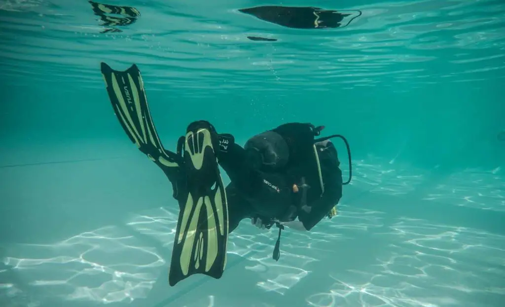 Diving Portugal - Peniche Diving School Haliotis