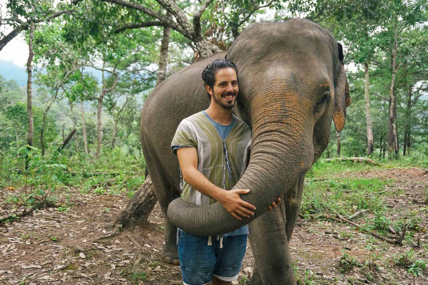 elephant sanctuary chiang mai