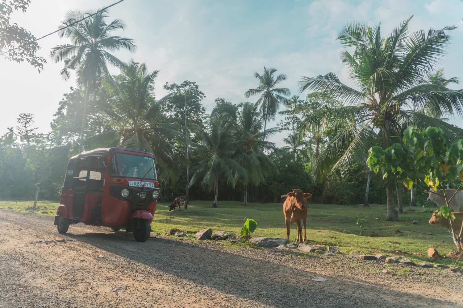 Alugar Tuk Tuk no Sri Lanka - Itinerário